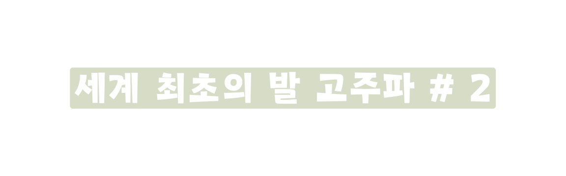 세계 최초의 발 고주파 2