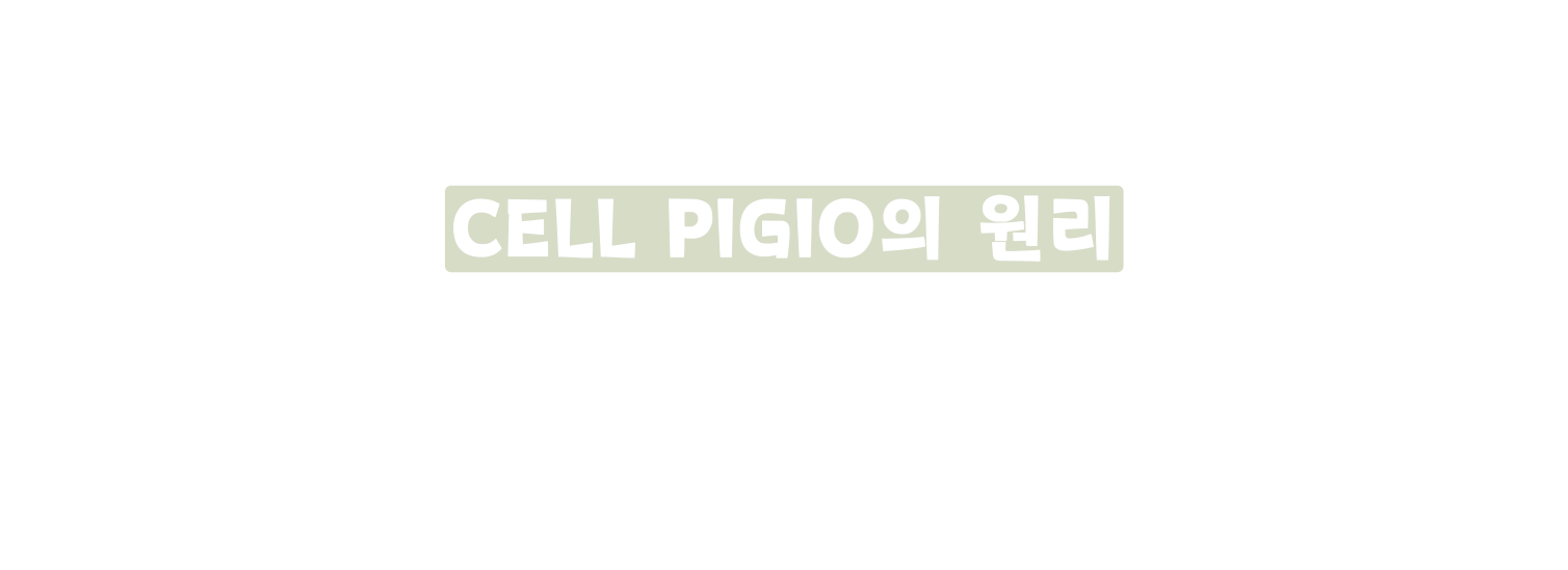 CELL PIGIO의 원리