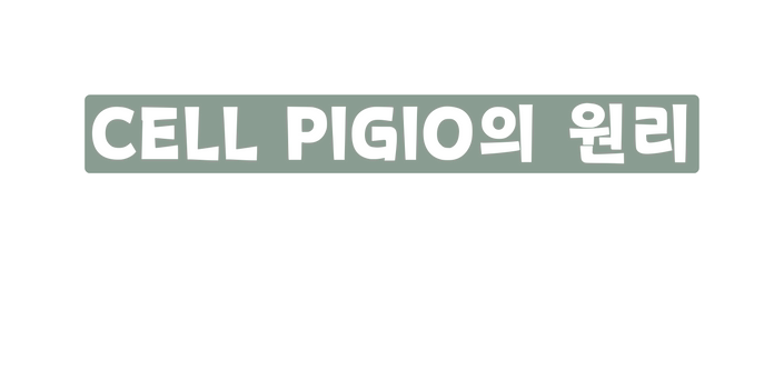 CELL PIGIO의 원리